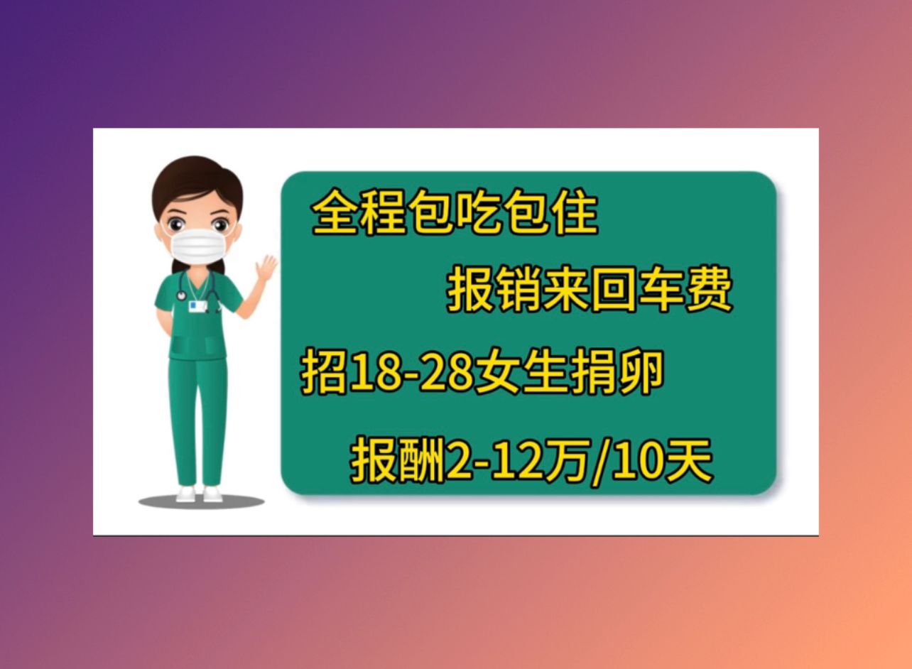 借卵公司一个卵泡能试管成功吗